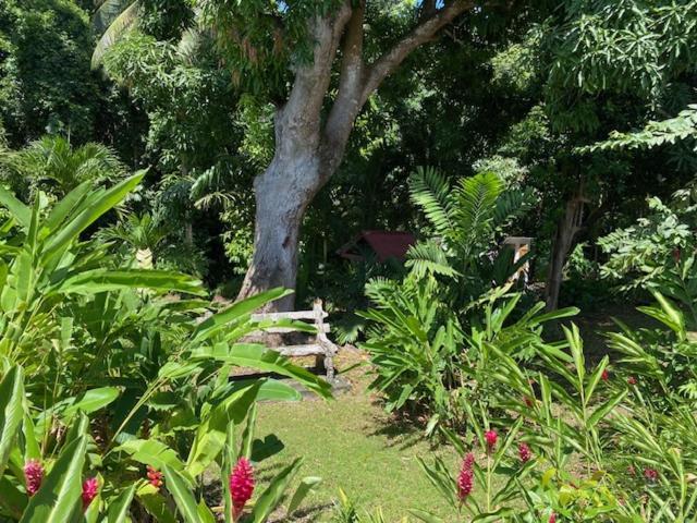 Villa Coco Caraibes Deshaies Exteriör bild