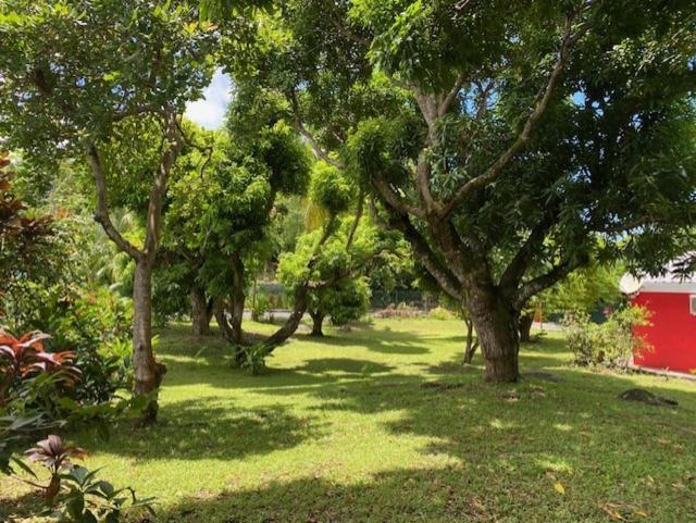 Villa Coco Caraibes Deshaies Exteriör bild